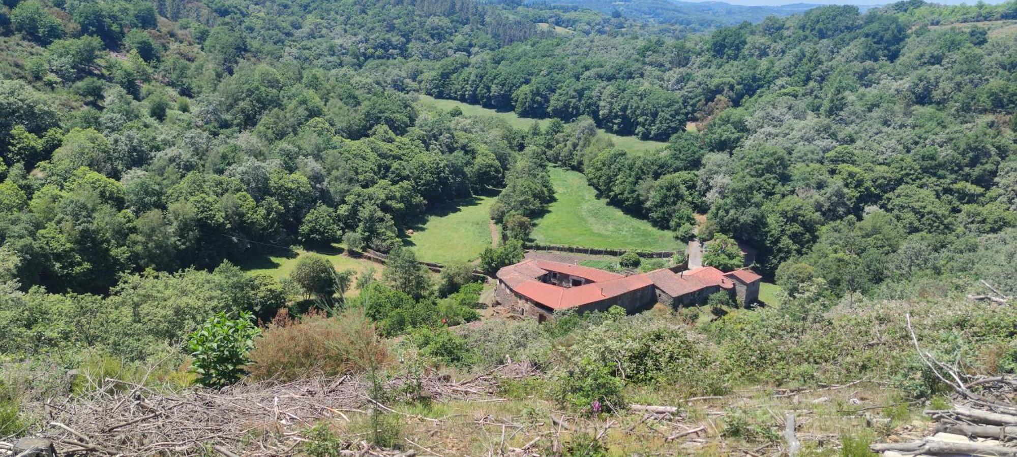 Casa Grande De Covas-Apartamentos Turisticos Taboada Buitenkant foto