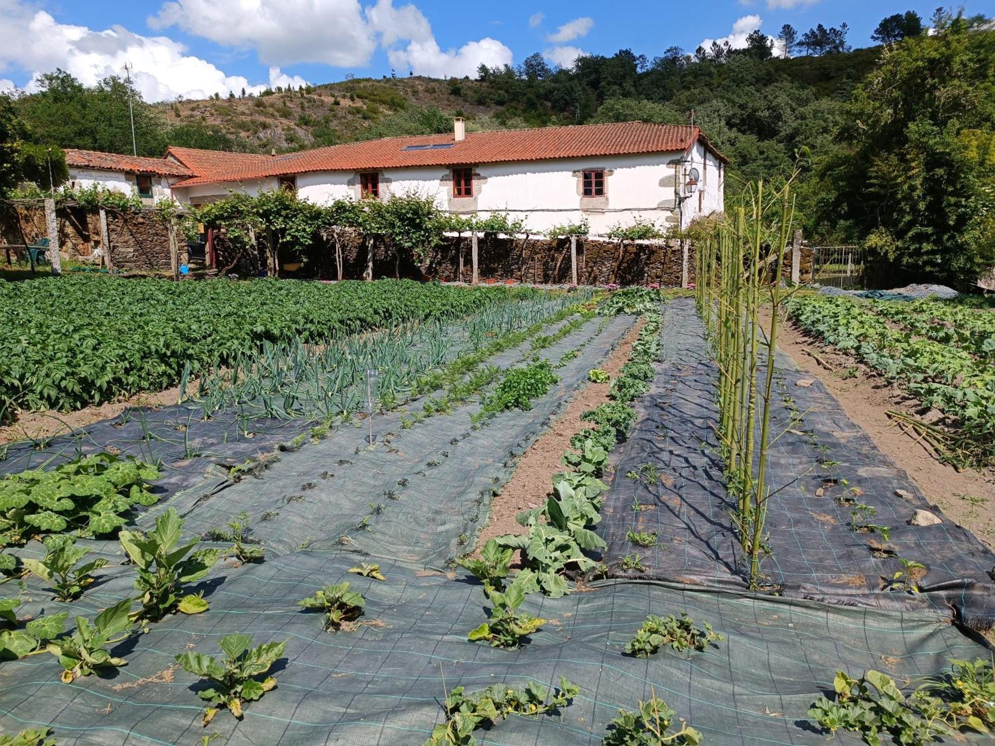 Casa Grande De Covas-Apartamentos Turisticos Taboada Buitenkant foto