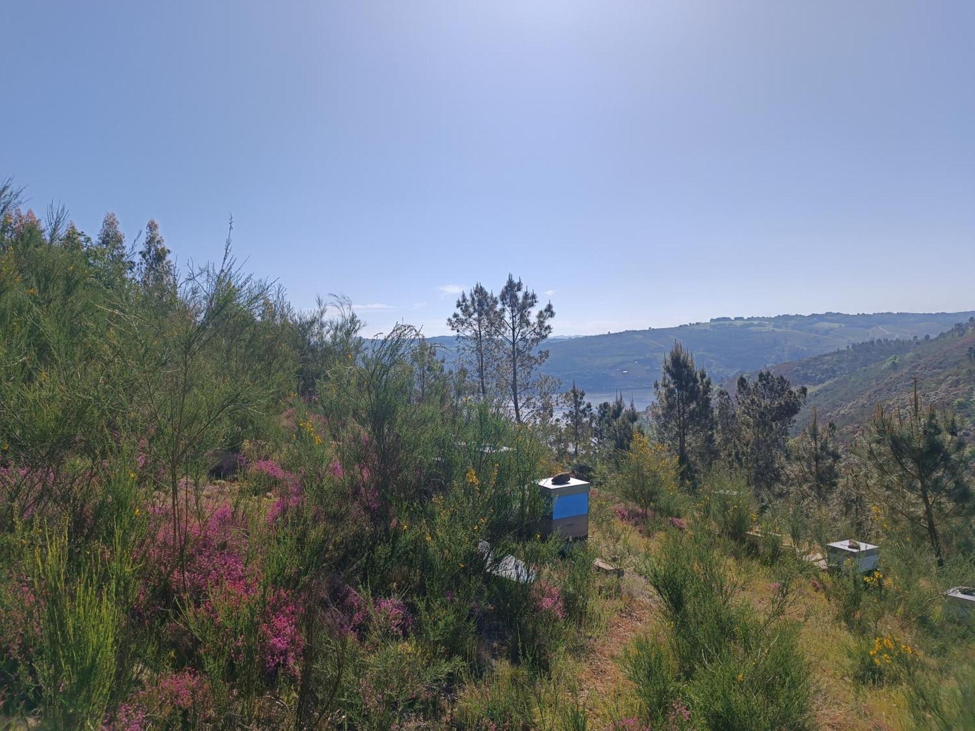 Casa Grande De Covas-Apartamentos Turisticos Taboada Buitenkant foto