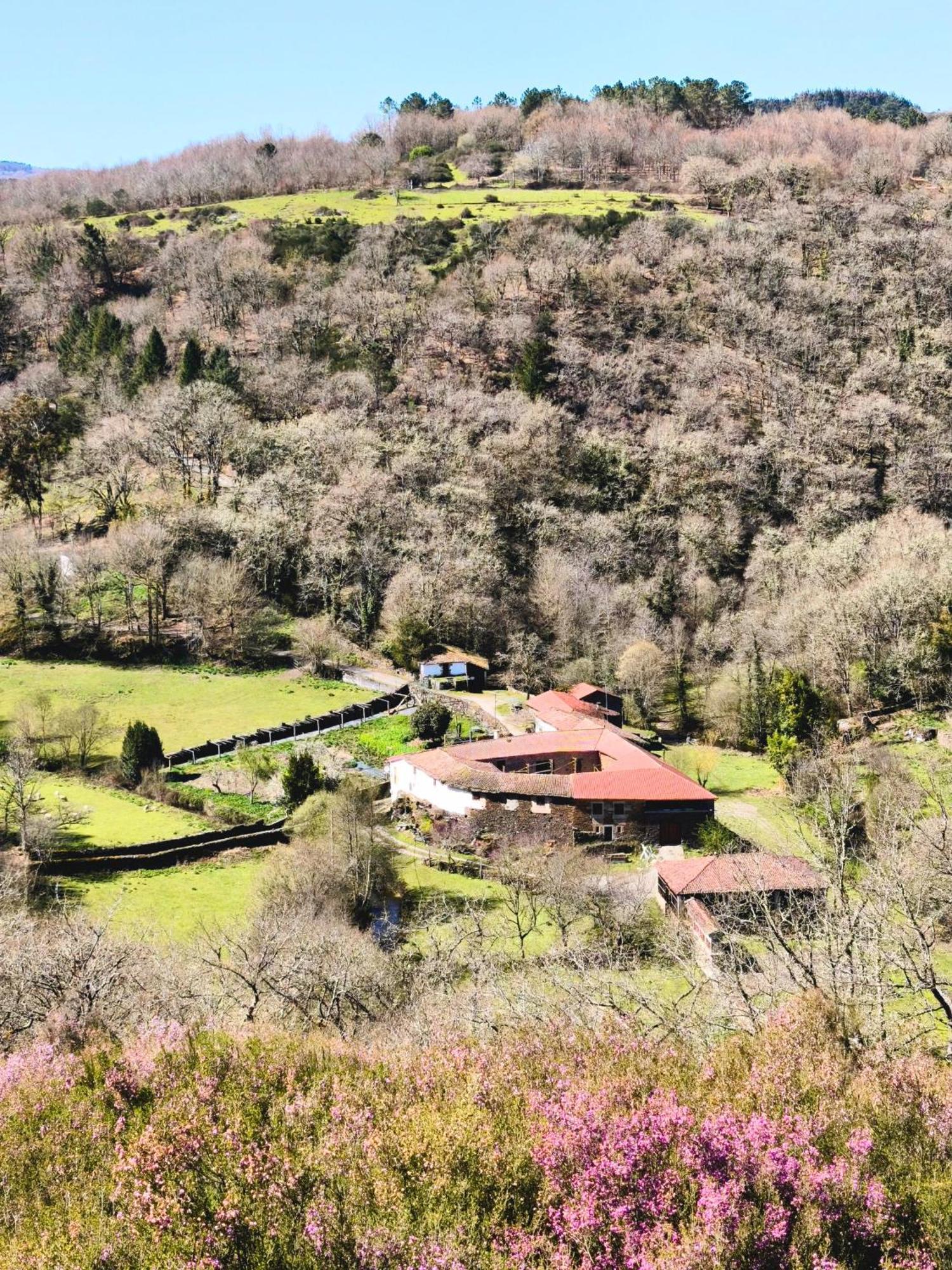 Casa Grande De Covas-Apartamentos Turisticos Taboada Buitenkant foto